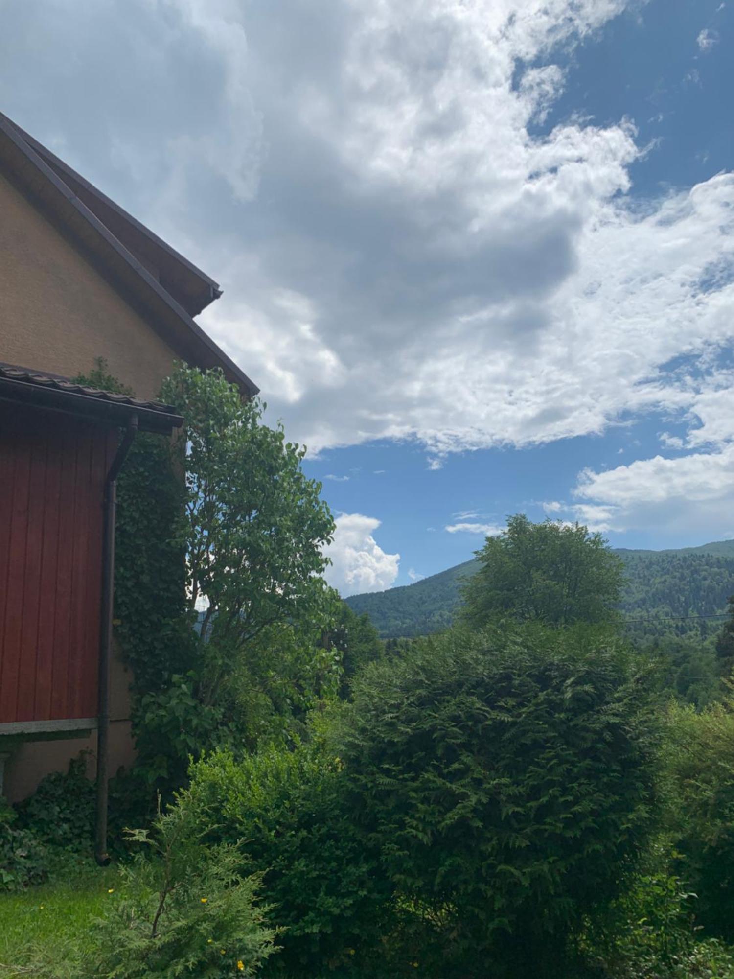 Zakrzywek Wyjatkowy Apartament W Krzywe K/Cisnej Cisna Exterior foto